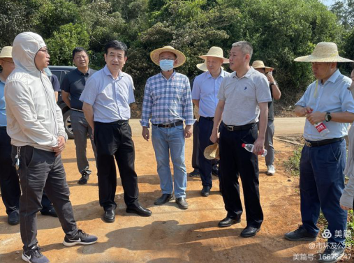 海口市自然资源和规划局局长吴雄带队调研龙湾片区土地整治项目