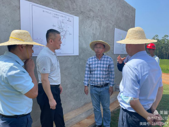 海口市自然资源和规划局局长吴雄带队调研龙湾片区土地整治项目(图4)