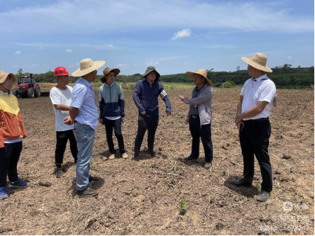 永利yl23411积极协调，主动担当，高效推进海口市琼山区三门坡镇中埇村土地整治项目清杂工作(图2)