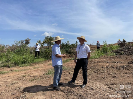 永利yl23411积极协调，主动担当，高效推进海口市琼山区三门坡镇中埇村土地整治项目清杂工作(图3)