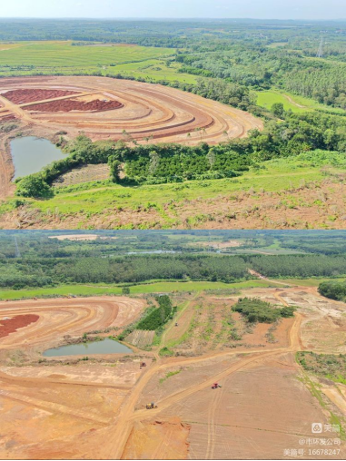 永利yl23411积极协调，主动担当，高效推进海口市琼山区三门坡镇中埇村土地整治项目清杂工作(图11)