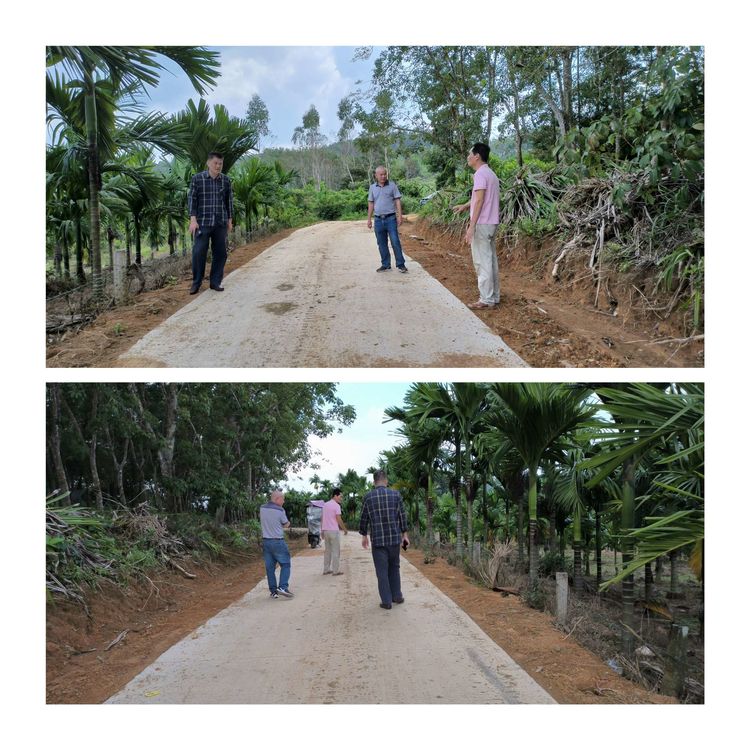 永利yl23411党委书记王蜂带队调研督导乡村振兴工作(图4)