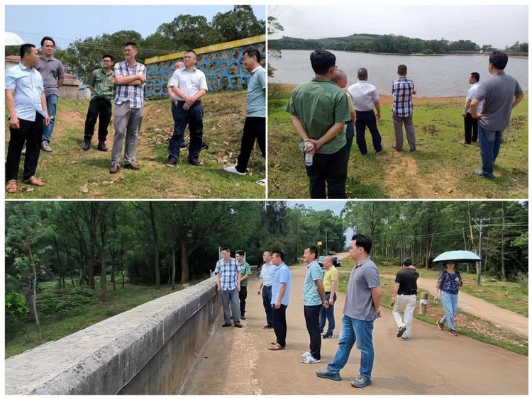 永利yl23411党委书记王蜂带队深入帮扶村调研谋划乡村振兴产业工作(图2)