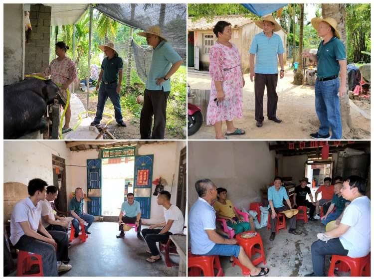 永利yl23411赴青云村委会调研巩固脱贫攻坚成果与乡村振兴有效衔接工作(图2)