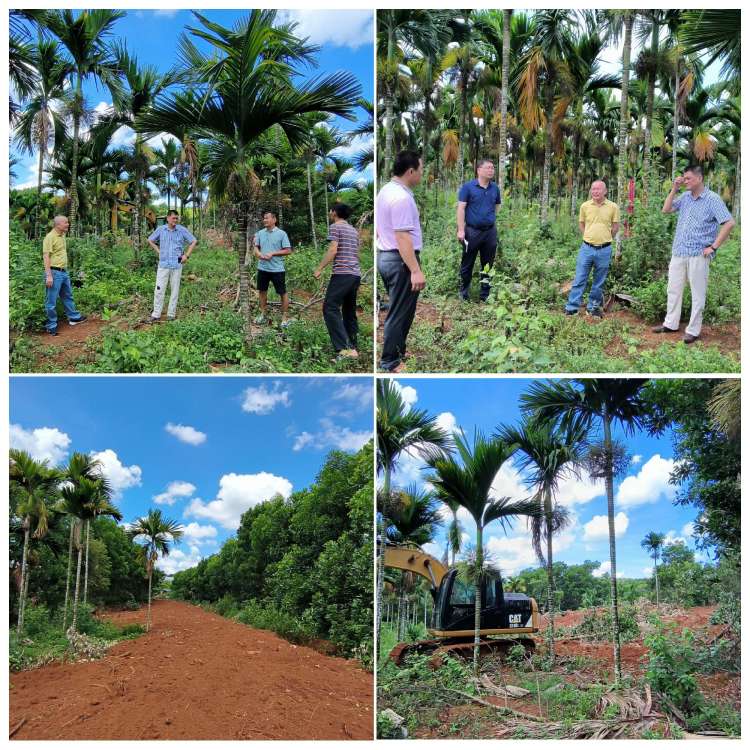 永利yl23411深入结对帮扶村召开帮扶产业发展专题会(图4)