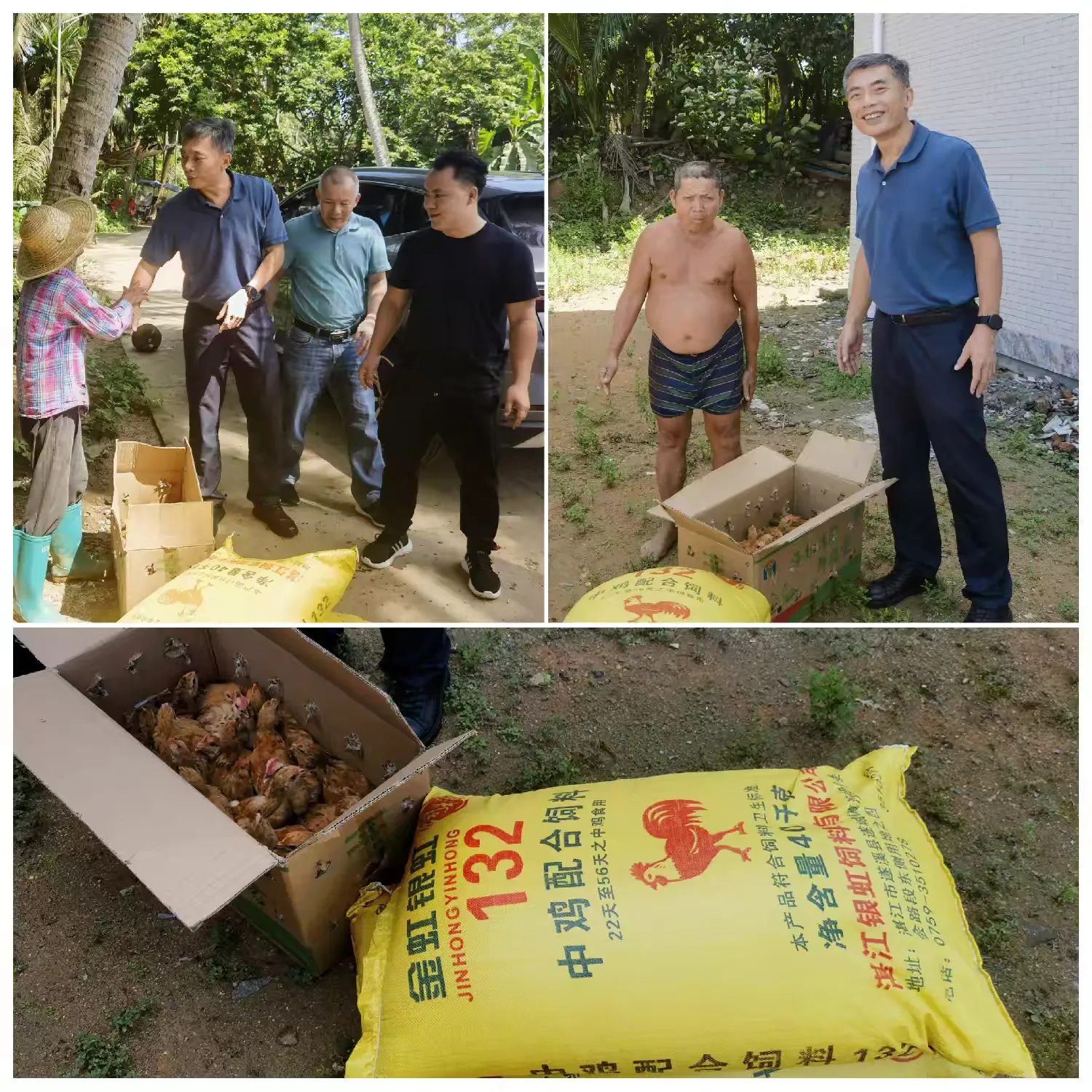 永利yl23411党委副书记林明智带队到帮扶村开展慰问乡村振兴工作人员和帮扶相对稳定户工作(图2)